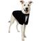 Show in main carousel: Frisco Tuxedo Dog & Cat T-Shirt, XX-Large slide 1 of 10