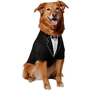 Hip Doggie Blue Gingham Dog Dress