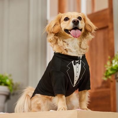 Show full view: Frisco Tuxedo Dog & Cat T-Shirt, Medium slide 7 of 11