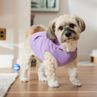 Show full view: Frisco Basic Dog & Cat Hoodie, English Lavender, Medium slide 9 of 13