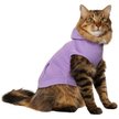 Show in main carousel: Frisco Basic Dog & Cat Hoodie, English Lavender, X-Small slide 1 of 12