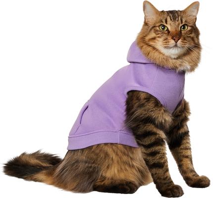 Show full view: Frisco Basic Dog & Cat Hoodie, English Lavender, Medium slide 3 of 13
