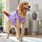 Show in main carousel: Frisco Basic Dog & Cat Hoodie, English Lavender, XX-Large slide 7 of 11