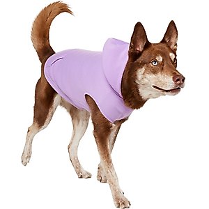 Frisco Basic Dog & Cat Hoodie, English Lavender, X-Large