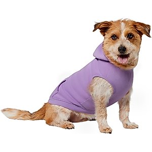 Frisco Basic Dog & Cat Hoodie, English Lavender, Large