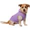 Show in main carousel: Frisco Basic Dog & Cat Hoodie, English Lavender, Large slide 1 of 11