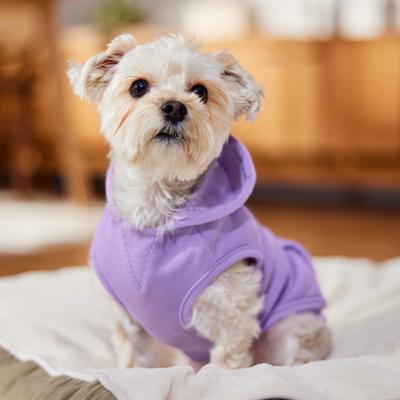 Show full view: Frisco Basic Dog & Cat Hoodie, English Lavender, Small slide 9 of 13