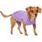 Show in main carousel: Frisco Basic Dog & Cat Hoodie, English Lavender, Small slide 3 of 13