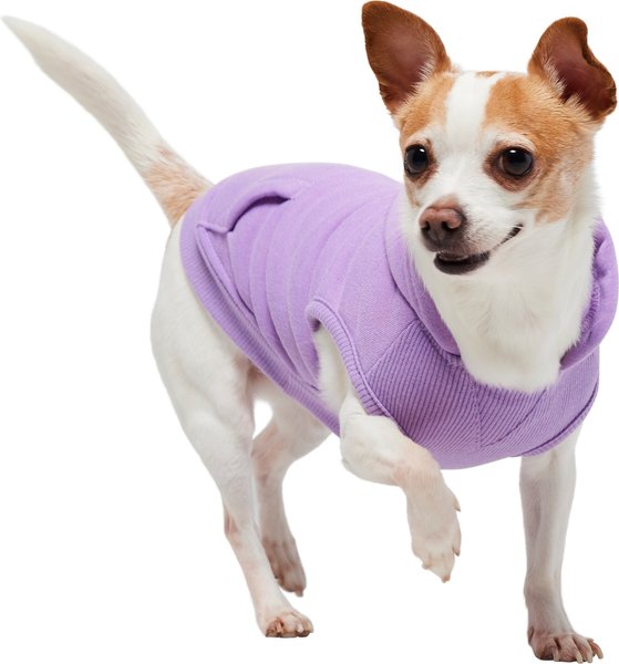 Show full view: Frisco Basic Dog & Cat Hoodie, English Lavender, X-Small slide 2 of 12