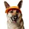 Show in main carousel: Frisco Summer UPF 45 Cooling Dog & Cat Bucket Hat, Orange, X-Large/XX-Large slide 1 of 11