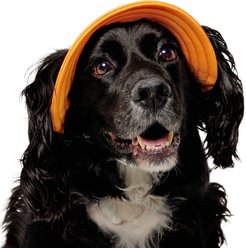 Frisco Summer UPF 45 Cooling Dog & Cat Bucket Hat, Orange, Medium/Large