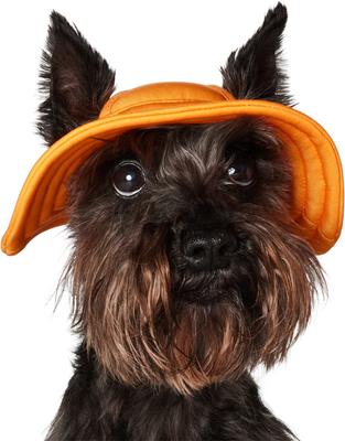 Show full view: Frisco Summer UPF 45 Cooling Dog & Cat Bucket Hat, Orange, X-Small/Small slide 2 of 11