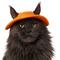 Show in main carousel: Frisco Summer UPF 45 Cooling Dog & Cat Bucket Hat, Orange, X-Small/Small slide 1 of 11