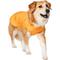 Show in main carousel: Frisco Summer UPF 45 Cooling Dog Vest, Orange, X-Large slide 1 of 11