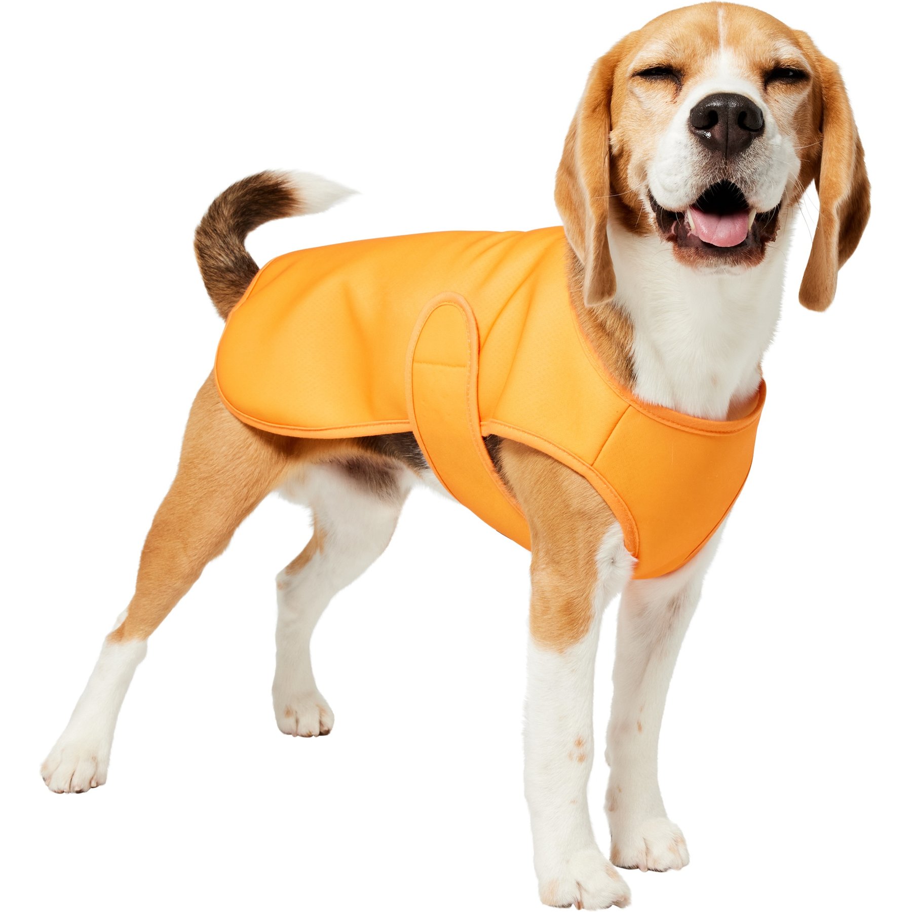 Frisco Summer UPF 45 Cooling Dog Vest, Orange, Medium