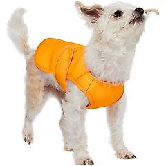 Frisco Summer UPF 45 Cooling Dog Vest, Orange, X-Small