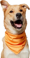 Frisco Summer Cooling Pullover Dog Gaitor, Orange, X-Large/XX-Large