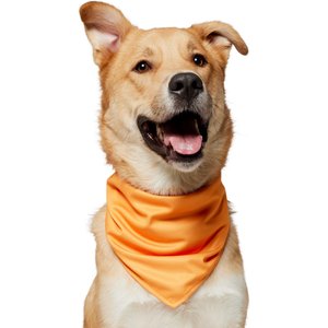 Frisco Summer Cooling Pullover Dog Gaitor, Orange, X-Large/XX-Large