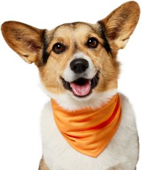 Frisco Summer Cooling Pullover Dog Gaitor, Orange, X-Small/Small