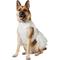 Show in main carousel: Frisco Rosette and Tulle Dog & Cat Wedding Dress, XX-Large slide 1 of 11