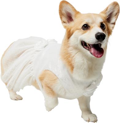 FRISCO Rosette and Tulle Dog & Cat Wedding Dress, Large - Chewy.com