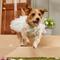 Show in main carousel: Frisco Rosette and Tulle Dog & Cat Wedding Dress, Medium slide 8 of 12