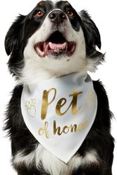 Frisco Pet of Honor Dog & Cat Bandana, Medium/Large