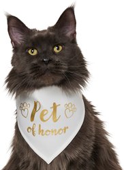 Frisco Pet of Honor Dog & Cat Bandana, X-Small/Small