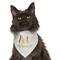 Show in main carousel: Frisco Pet of Honor Dog & Cat Bandana, X-Small/Small slide 1 of 10