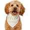 Show in main carousel: Frisco Pet of Honor Dog & Cat Bandana, X-Small/Small slide 2 of 10