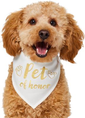 Show full view: Frisco Pet of Honor Dog & Cat Bandana, X-Small/Small slide 2 of 10
