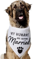 Frisco My Humans are Getting Married Dog & Cat Bandana, XXX-Large