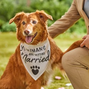 Frisco My Humans are Getting Married Dog & Cat Bandana, X-Large/XX-Large
