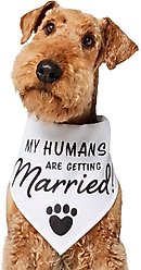 Frisco My Humans are Getting Married Dog & Cat Bandana, X-Large/XX-Large
