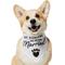 Show in main carousel: Frisco My Humans are Getting Married Dog & Cat Bandana, Medium/Large slide 1 of 9