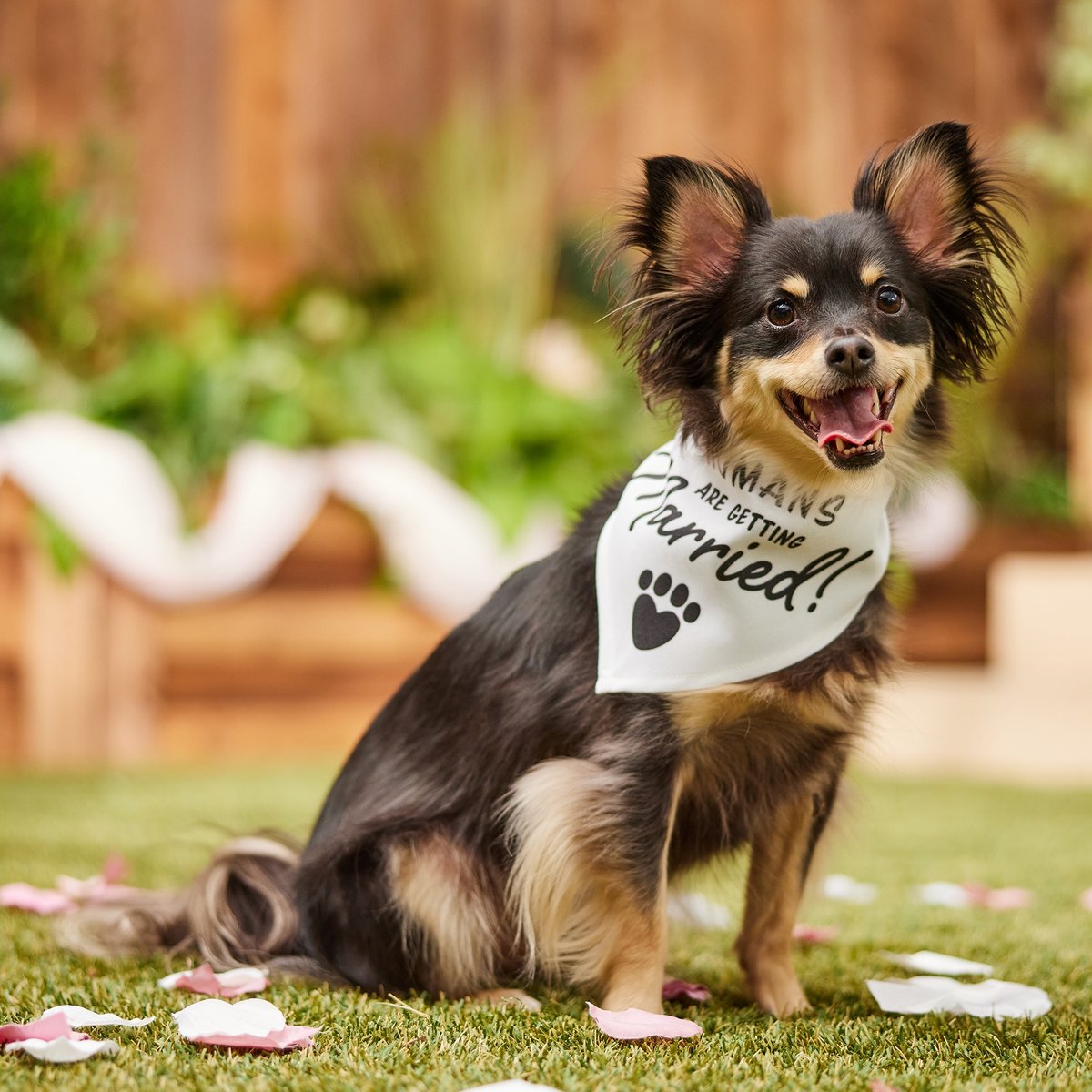 Produktbild von WLLHYF Hundehalstuch 'My Humans Are Getting Married' - Verlobungsgeschenk Für Hunde