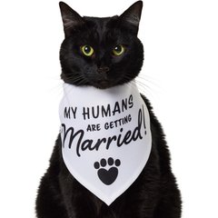 Frisco My Humans are Getting Married Dog & Cat Bandana, X-Small/Small