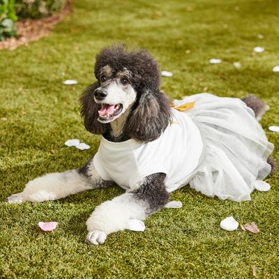 Show full view: Frisco I Do Too Dog & Cat Dress, X-Large slide 7 of 11