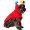 Show in main carousel: Frisco Summer Macaw Dog & Cat Bathrobe, X-Small slide 2 of 11