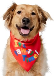 Frisco It's Paw-ty Time Birthday Dog & Cat Bandana, Medium/Large