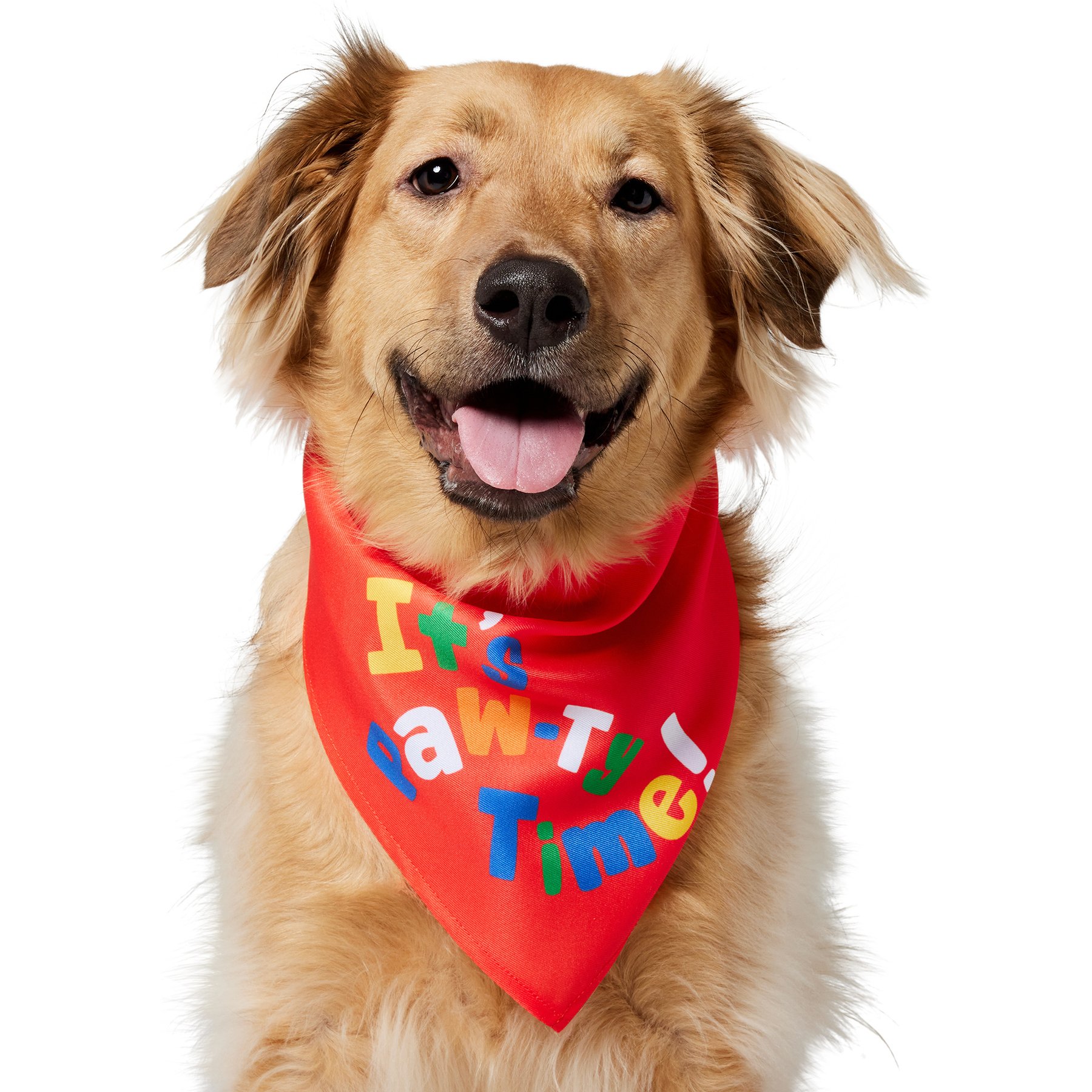 Frisco It's Paw-ty Time Birthday Dog & Cat Bandana, Medium/Large