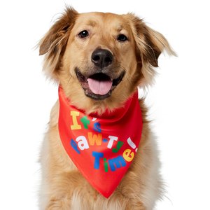 Frisco It's Paw-ty Time Birthday Dog & Cat Bandana, Medium/Large