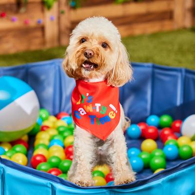 Show full view: Frisco It's Paw-ty Time Birthday Dog & Cat Bandana, X-Small/Small slide 7 of 10