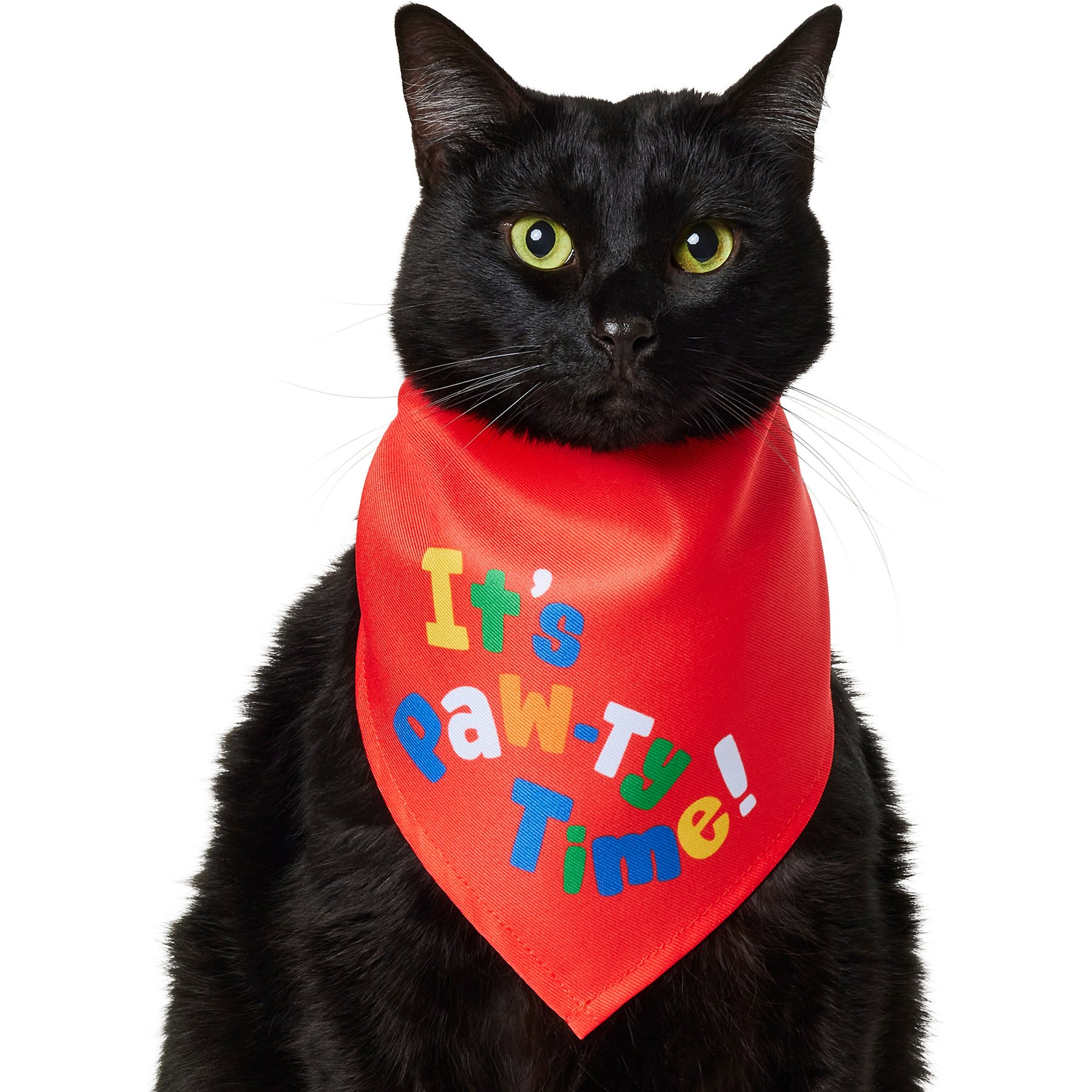 Frisco It's Paw-ty Time Birthday Dog & Cat Bandana, X-Small/Small