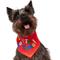 Show in main carousel: Frisco It's Paw-ty Time Birthday Dog & Cat Bandana, X-Small/Small slide 3 of 10