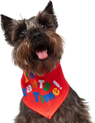 Show full view: Frisco It's Paw-ty Time Birthday Dog & Cat Bandana, X-Small/Small slide 3 of 10