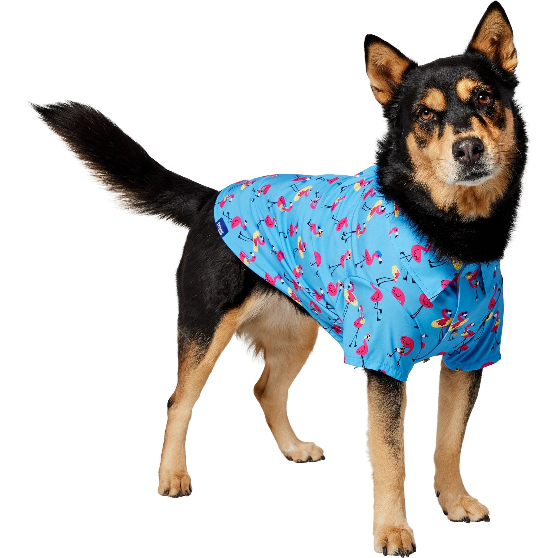 Frisco Summer Flamingo Dog & Cat Polo Camp Shirt, X-Large