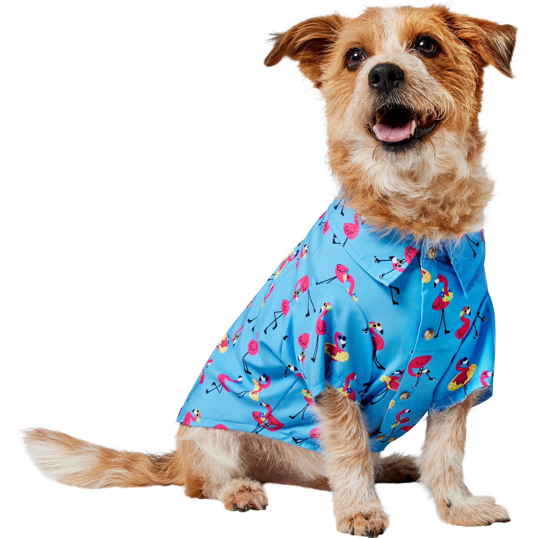 Frisco Summer Flamingo Dog & Cat Polo Camp Shirt, Large