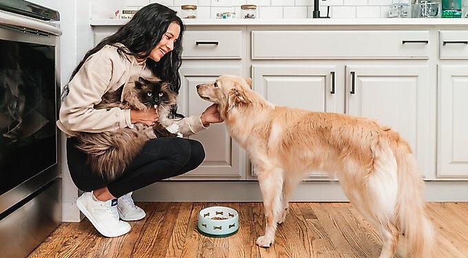 I and Love and You Naked Essentials Ancient Grain Beef and Lamb Recipe Dry Dog Food