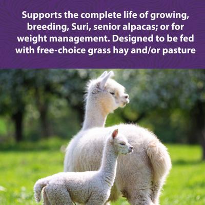 Show full view: Mazuri Alpaca Complete Life Alpaca Food, 40-lb bag slide 5 of 10
